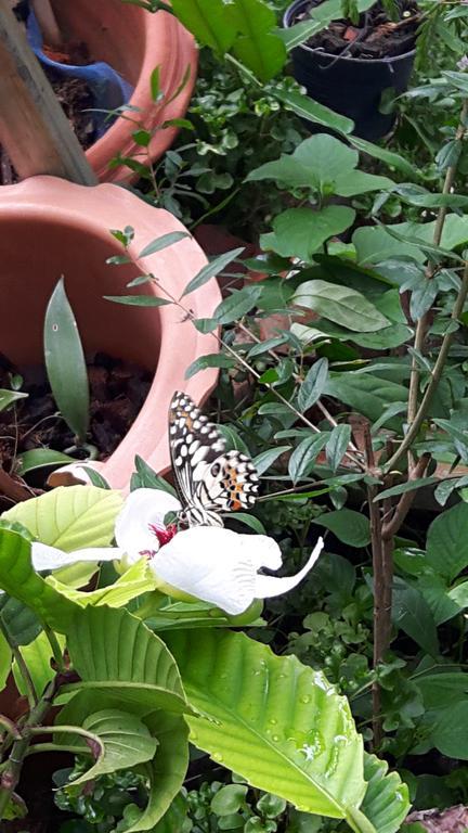 Hotel Hom Baan Chiang Mai Zewnętrze zdjęcie