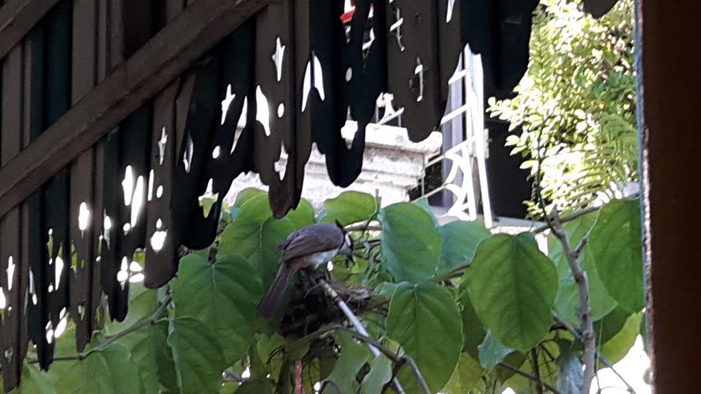 Hotel Hom Baan Chiang Mai Zewnętrze zdjęcie