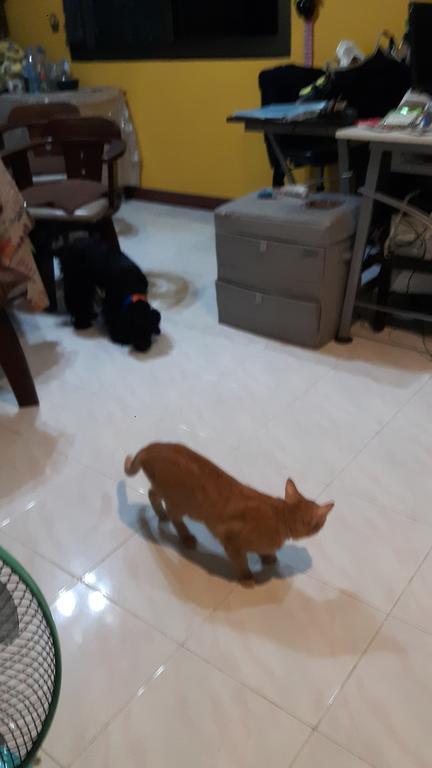Hotel Hom Baan Chiang Mai Zewnętrze zdjęcie
